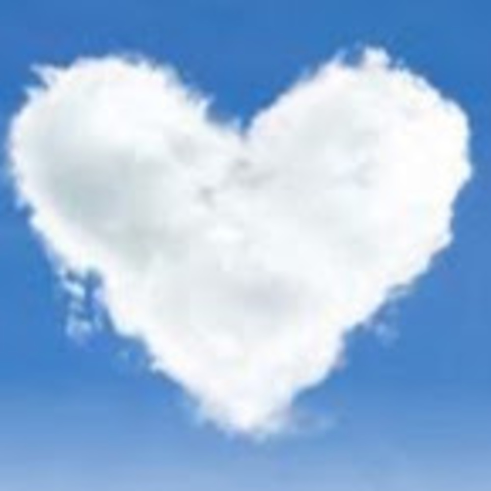 Meet your Posher, Kacy